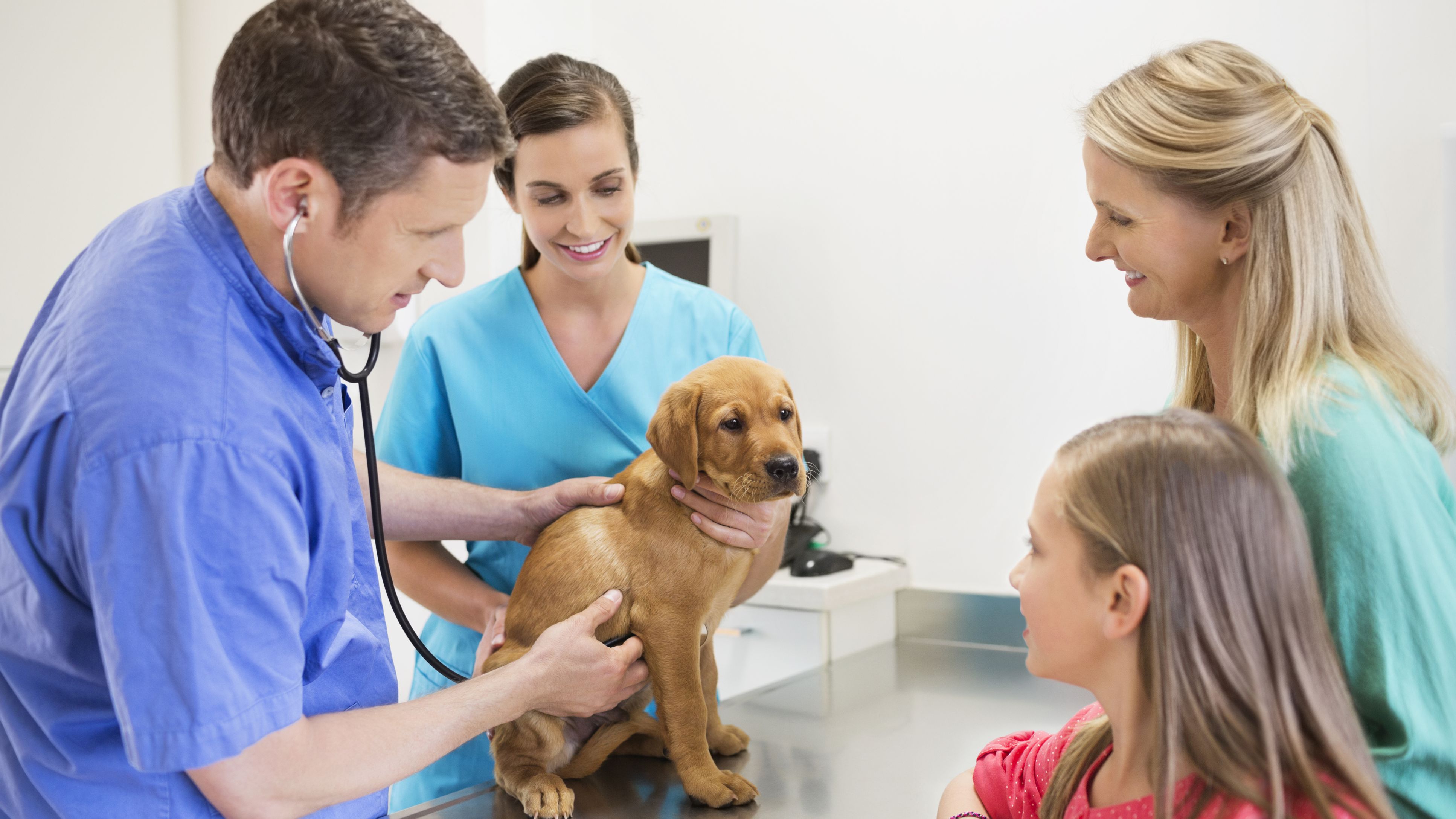 SHARMA'S PETCARE HOSPITAL