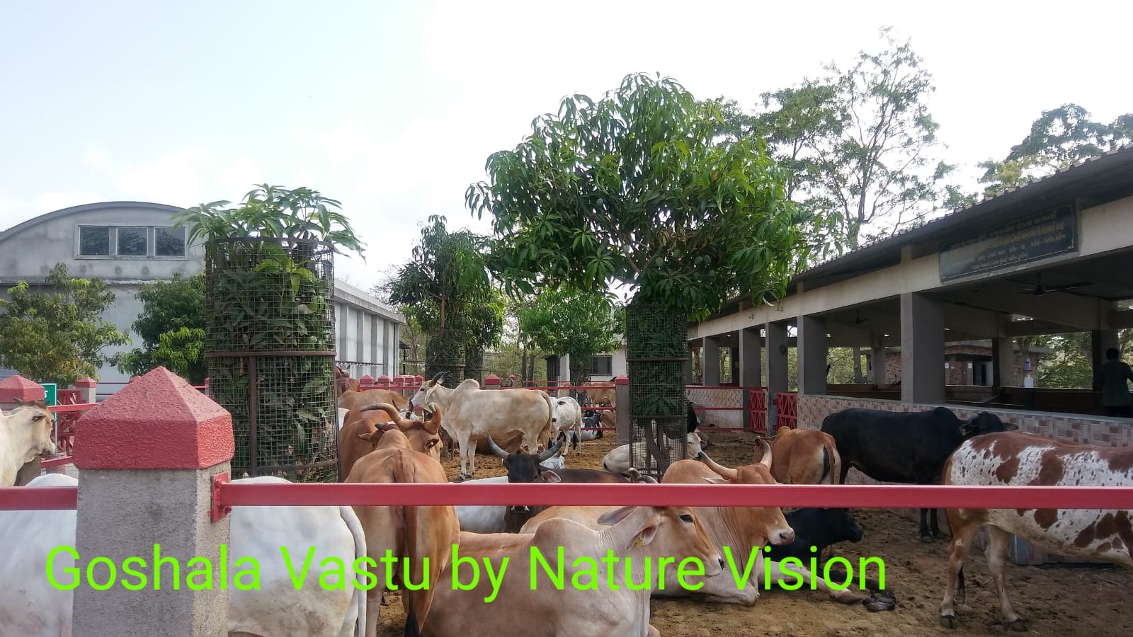 NATURE VISION VASTUSHASTRAY