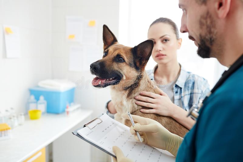 Vet Consultation